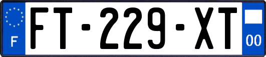 FT-229-XT