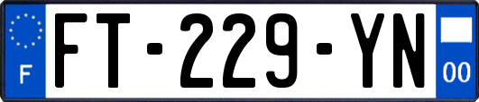 FT-229-YN