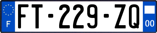 FT-229-ZQ