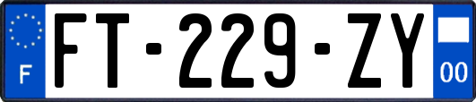 FT-229-ZY