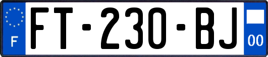 FT-230-BJ