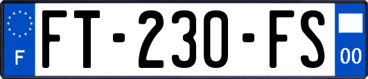 FT-230-FS