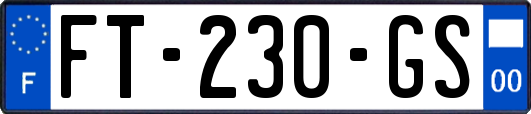 FT-230-GS