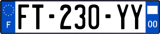 FT-230-YY