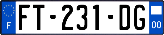 FT-231-DG