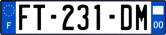 FT-231-DM