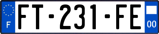 FT-231-FE