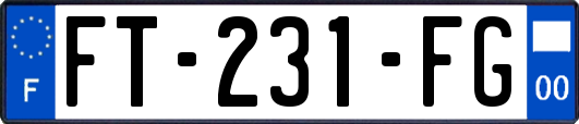 FT-231-FG