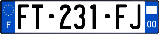 FT-231-FJ