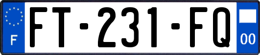 FT-231-FQ