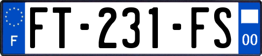 FT-231-FS