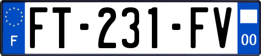 FT-231-FV