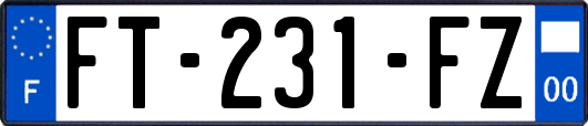 FT-231-FZ