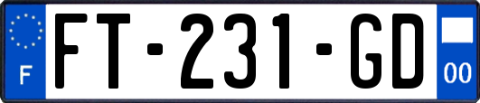 FT-231-GD