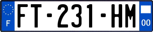 FT-231-HM