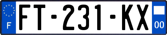 FT-231-KX