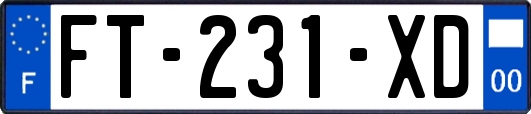 FT-231-XD