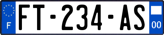 FT-234-AS