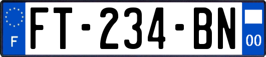 FT-234-BN