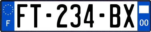 FT-234-BX