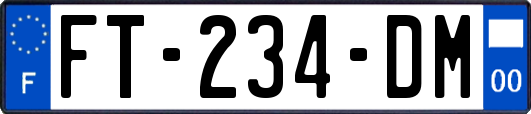 FT-234-DM