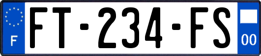 FT-234-FS