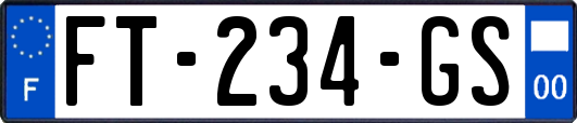 FT-234-GS