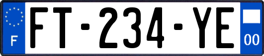 FT-234-YE