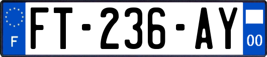 FT-236-AY