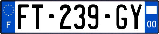FT-239-GY