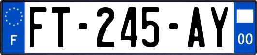 FT-245-AY
