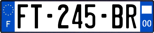 FT-245-BR