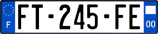 FT-245-FE