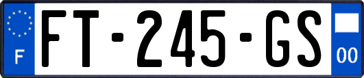 FT-245-GS