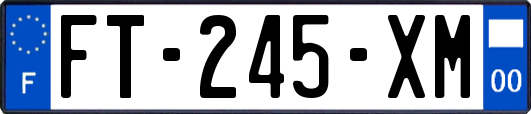 FT-245-XM