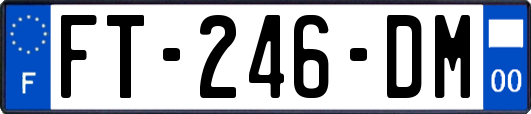 FT-246-DM