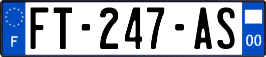 FT-247-AS