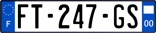 FT-247-GS