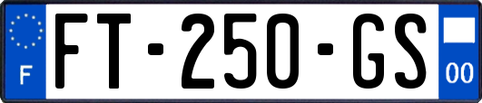 FT-250-GS