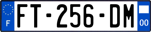 FT-256-DM