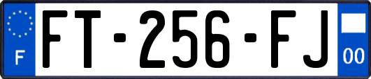 FT-256-FJ
