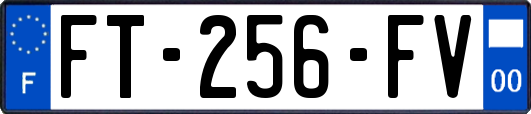 FT-256-FV
