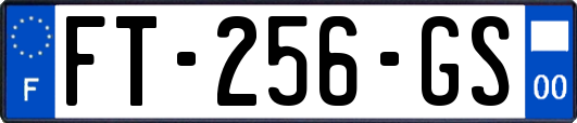 FT-256-GS