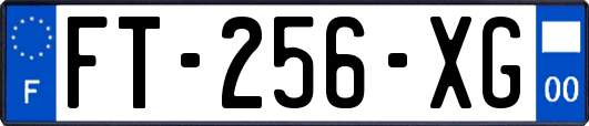 FT-256-XG