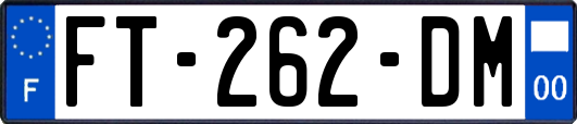 FT-262-DM