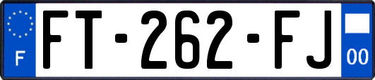 FT-262-FJ