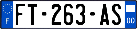 FT-263-AS