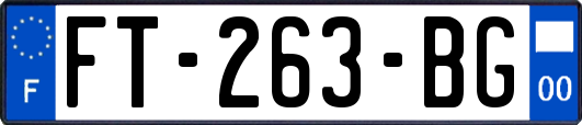 FT-263-BG