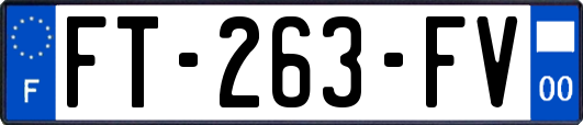 FT-263-FV