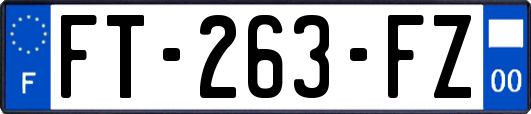 FT-263-FZ